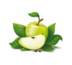 دبیرخانه شورای سلامت و امنیت غذایی